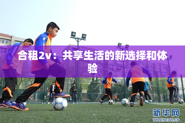 合租2v：共享生活的新选择和体验