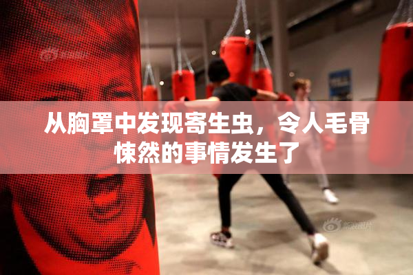 从胸罩中发现寄生虫，令人毛骨悚然的事情发生了