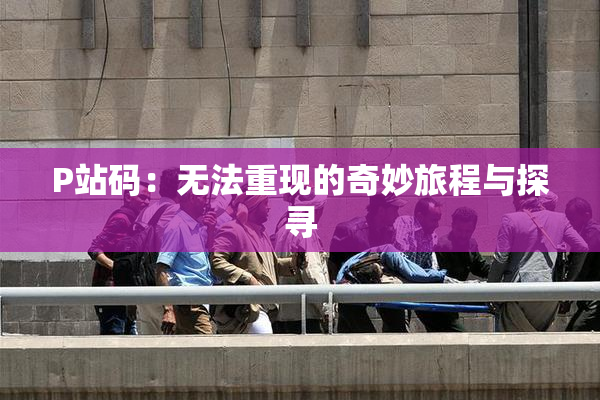 P站码：无法重现的奇妙旅程与探寻