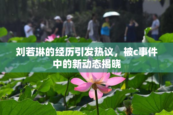刘若琳的经历引发热议，被c事件中的新动态揭晓