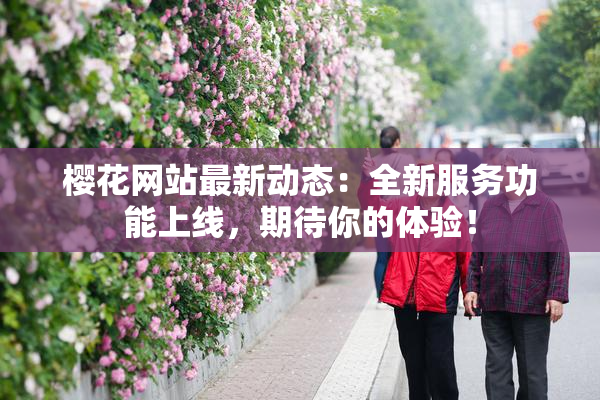 樱花网站最新动态：全新服务功能上线，期待你的体验！