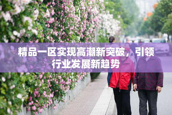精品一区实现高潮新突破，引领行业发展新趋势