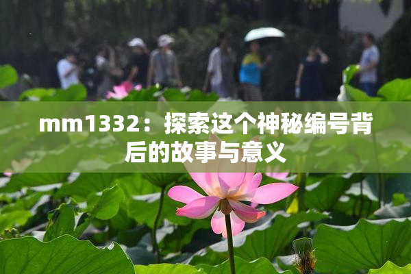 mm1332：探索这个神秘编号背后的故事与意义