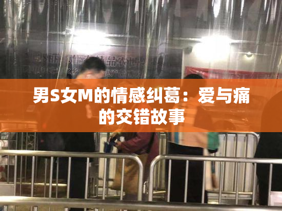 男S女M的情感纠葛：爱与痛的交错故事