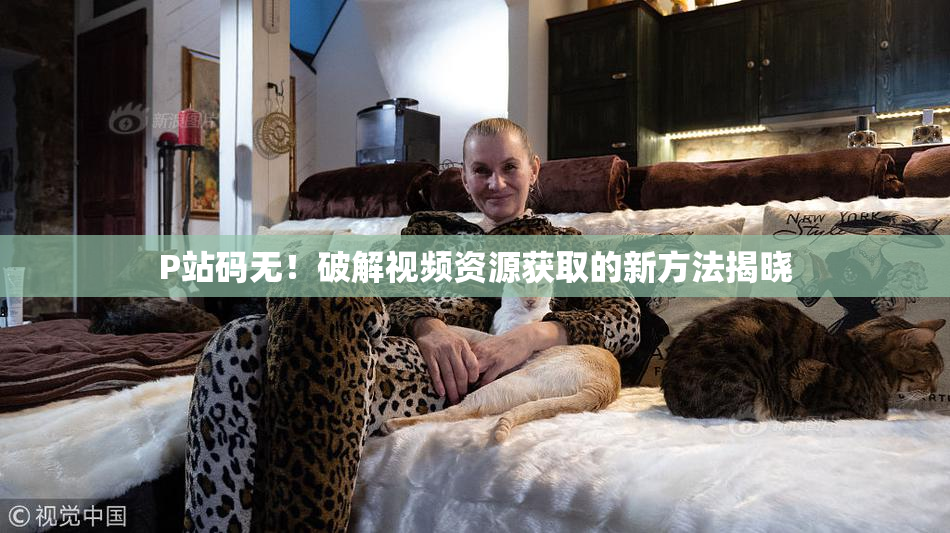 P站码无！破解视频资源获取的新方法揭晓