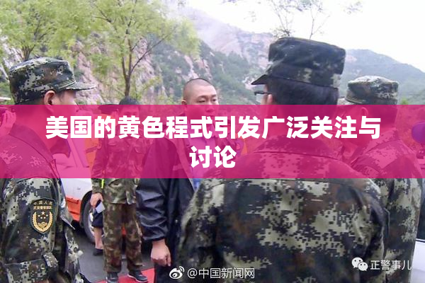 美国的黄色程式引发广泛关注与讨论