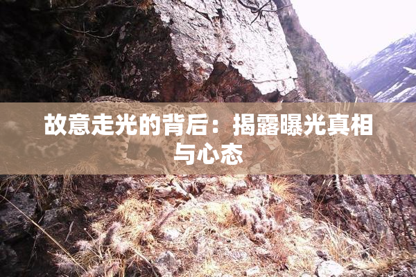 故意走光的背后：揭露曝光真相与心态