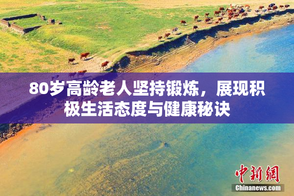 80岁高龄老人坚持锻炼，展现积极生活态度与健康秘诀