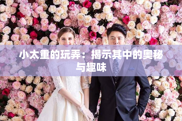 小太重的玩弄：揭示其中的奥秘与趣味