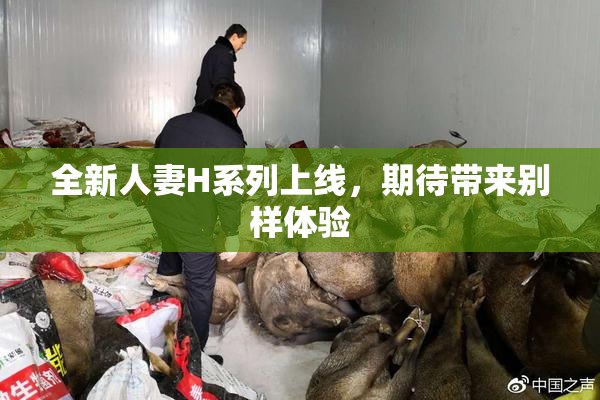 全新人妻H系列上线，期待带来别样体验