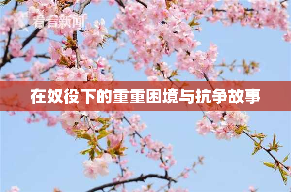 在奴役下的重重困境与抗争故事