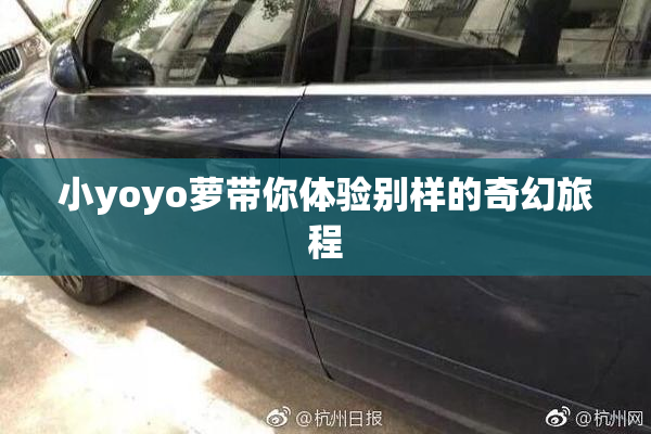 小yoyo萝带你体验别样的奇幻旅程