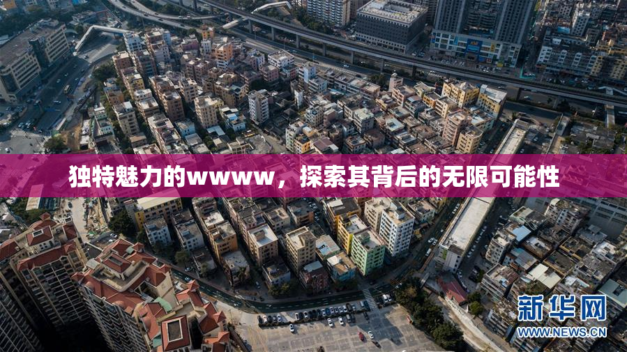 独特魅力的wwww，探索其背后的无限可能性