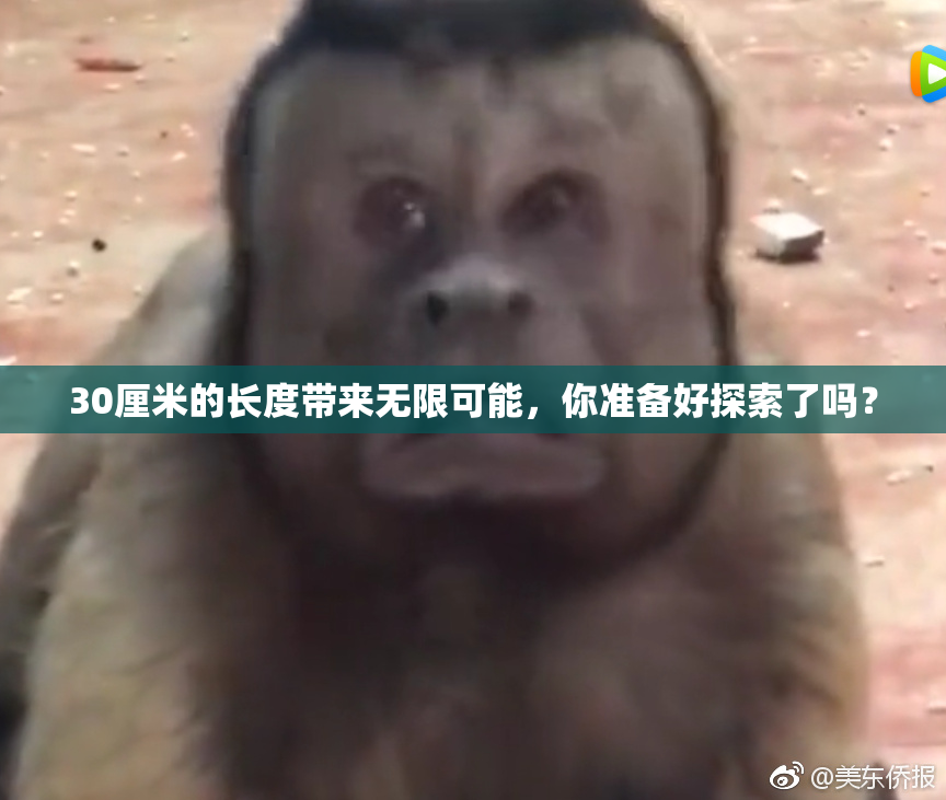 30厘米的长度带来无限可能，你准备好探索了吗？