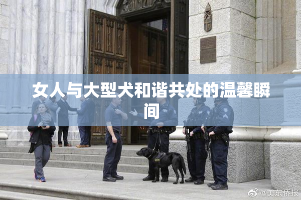 女人与大型犬和谐共处的温馨瞬间