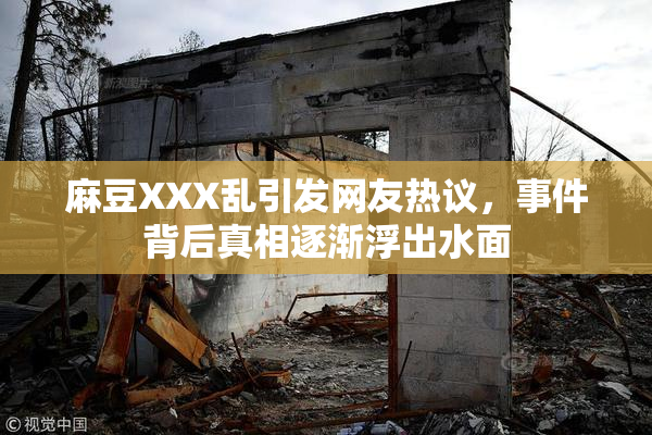 麻豆XXX乱引发网友热议，事件背后真相逐渐浮出水面