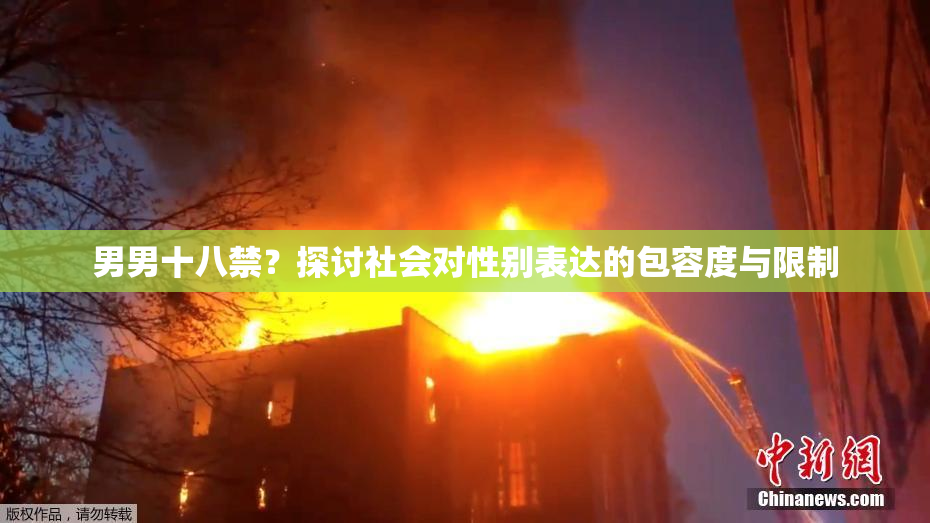 男男十八禁？探讨社会对性别表达的包容度与限制