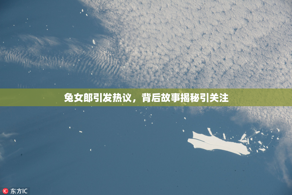 兔女郎引发热议，背后故事揭秘引关注
