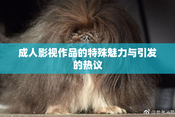 成人影视作品的特殊魅力与引发的热议