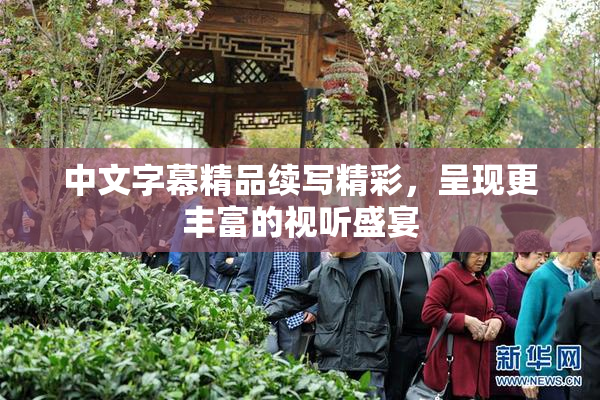 中文字幕精品续写精彩，呈现更丰富的视听盛宴