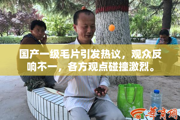 国产一级毛片引发热议，观众反响不一，各方观点碰撞激烈。