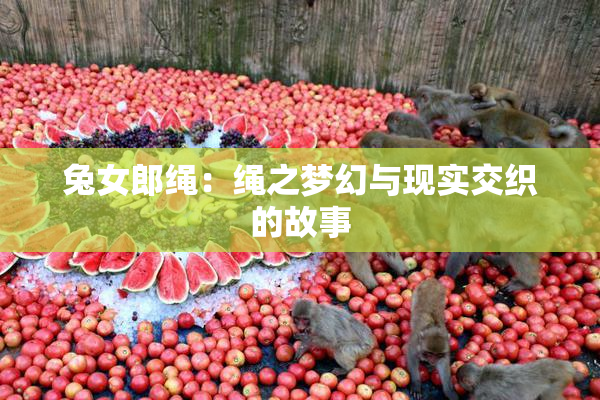 兔女郎绳：绳之梦幻与现实交织的故事