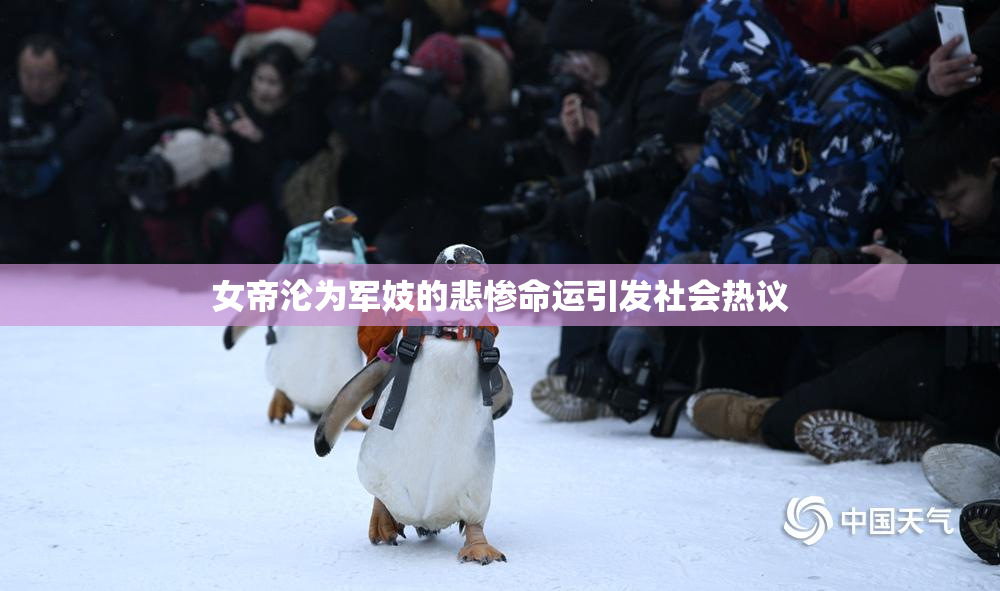 女帝沦为军妓的悲惨命运引发社会热议