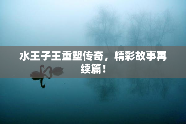 水王子王重塑传奇，精彩故事再续篇！