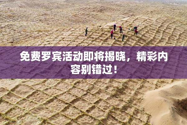 免费罗宾活动即将揭晓，精彩内容别错过！