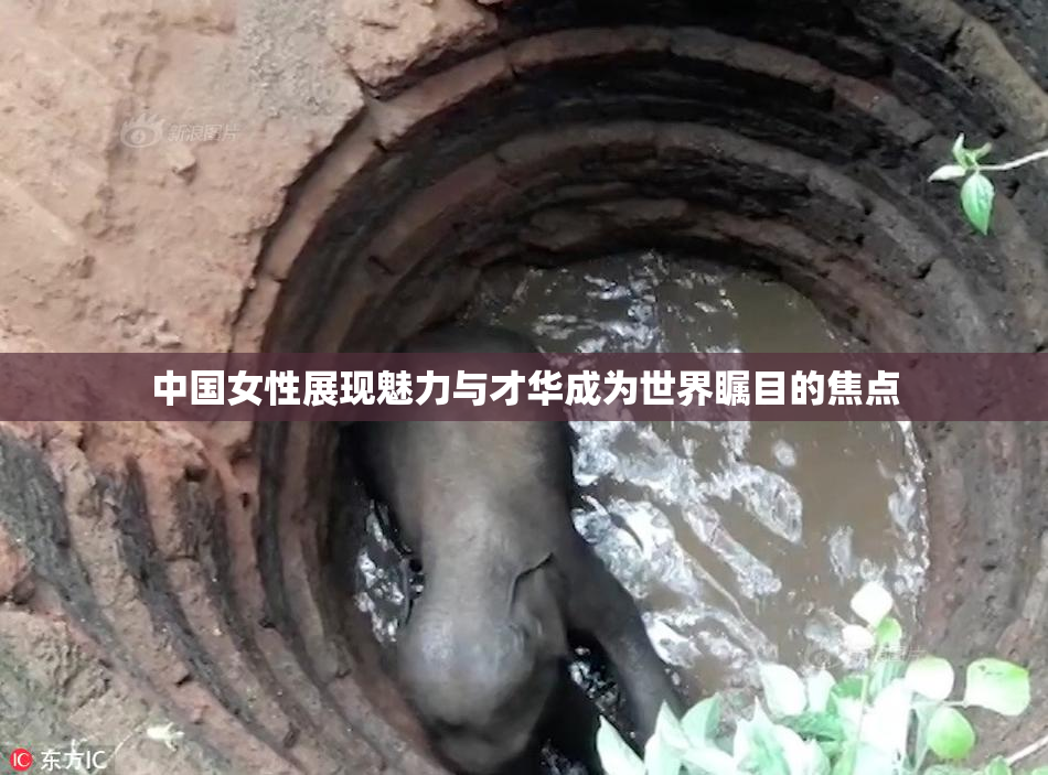 中国女性展现魅力与才华成为世界瞩目的焦点