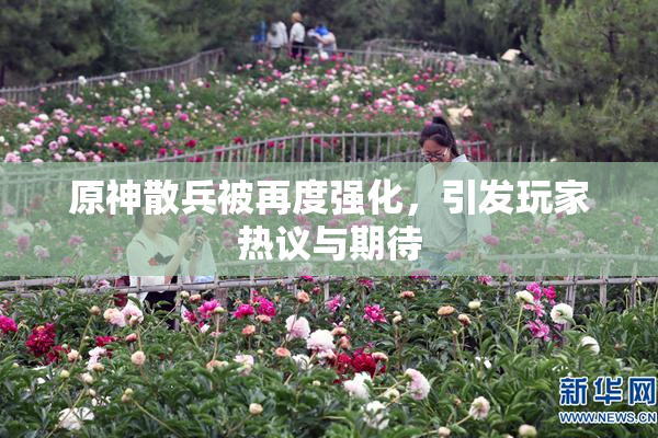 原神散兵被再度强化，引发玩家热议与期待