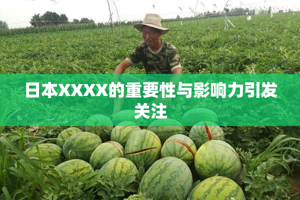 日本XXXX的重要性与影响力引发关注