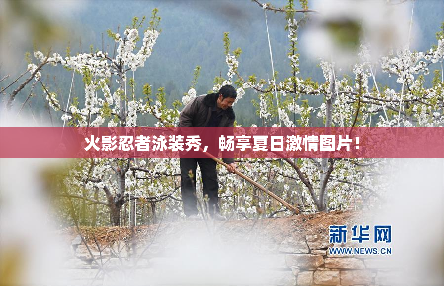 火影忍者泳装秀，畅享夏日激情图片！