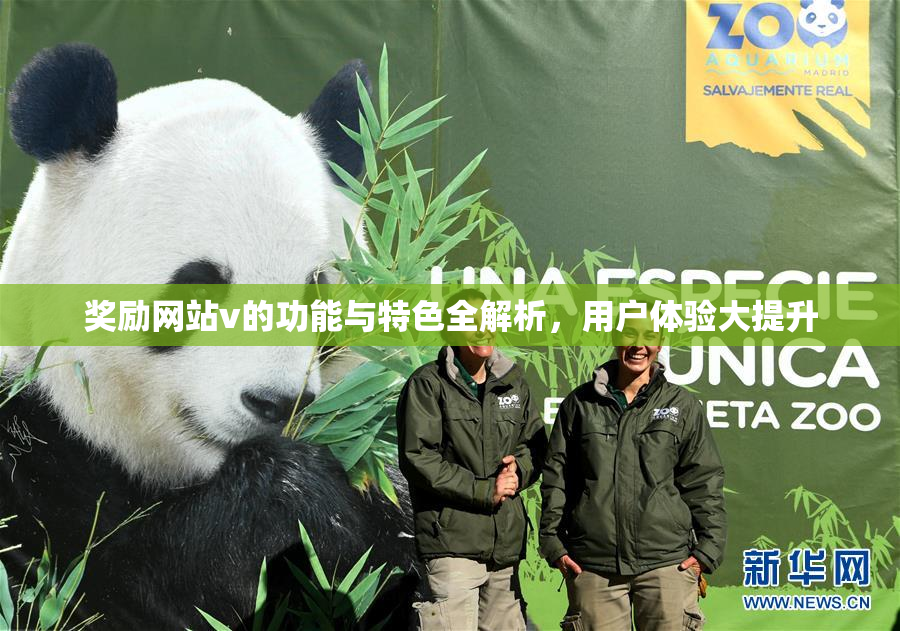奖励网站v的功能与特色全解析，用户体验大提升