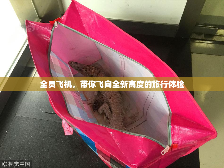 全员飞机，带你飞向全新高度的旅行体验