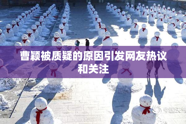 曹颖被质疑的原因引发网友热议和关注