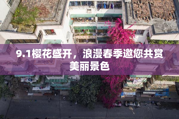 9.1樱花盛开，浪漫春季邀您共赏美丽景色