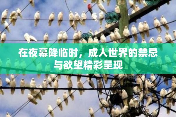 在夜幕降临时，成人世界的禁忌与欲望精彩呈现