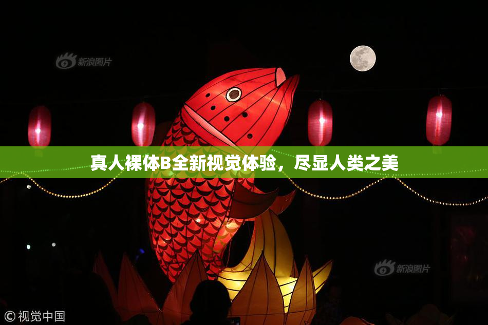 真人裸体B全新视觉体验，尽显人类之美
