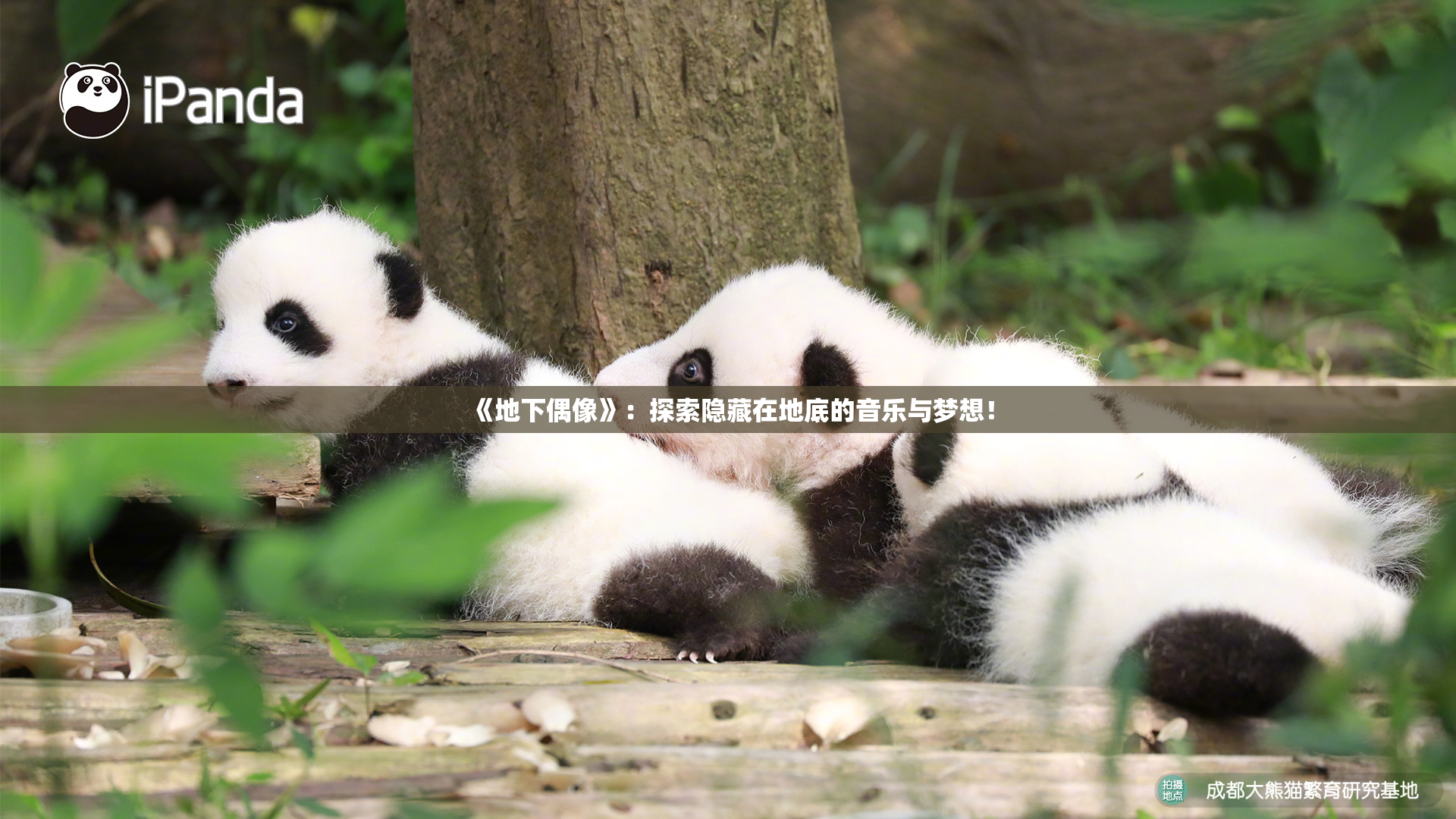 《地下偶像》：探索隐藏在地底的音乐与梦想！