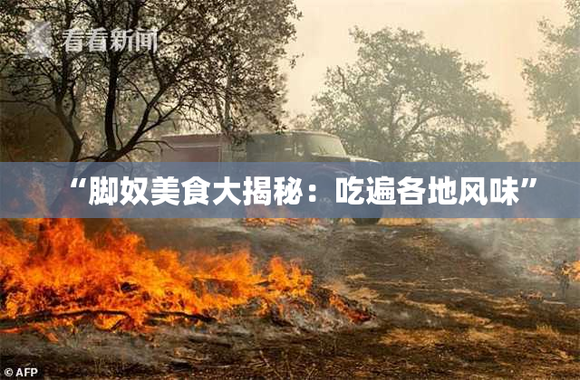 “脚奴美食大揭秘：吃遍各地风味”