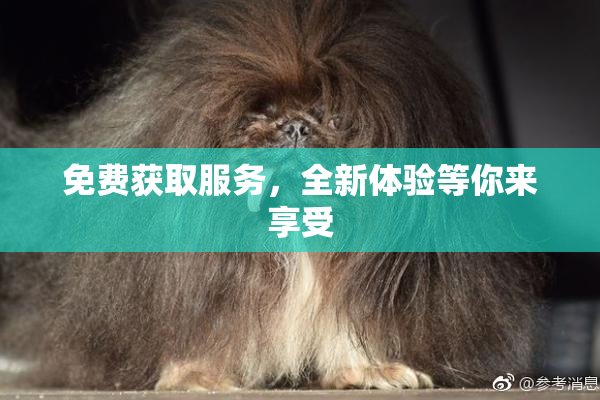 免费获取服务，全新体验等你来享受