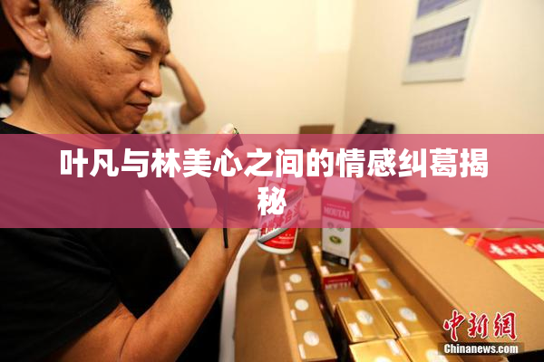叶凡与林美心之间的情感纠葛揭秘