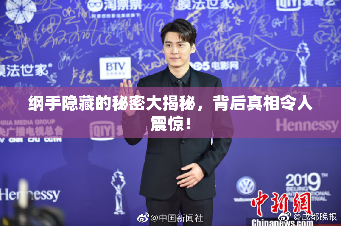 纲手隐藏的秘密大揭秘，背后真相令人震惊！