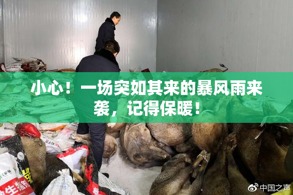 小心！一场突如其来的暴风雨来袭，记得保暖！