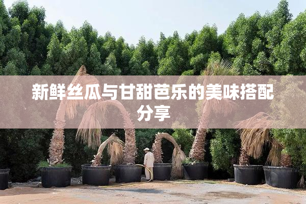 新鲜丝瓜与甘甜芭乐的美味搭配分享