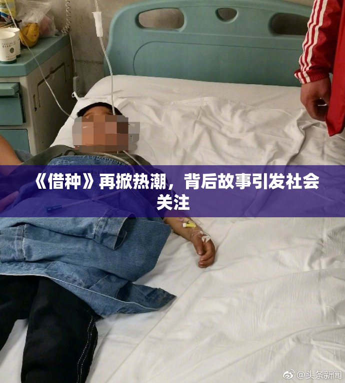 《借种》再掀热潮，背后故事引发社会关注