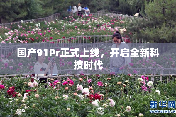 国产91Pr正式上线，开启全新科技时代