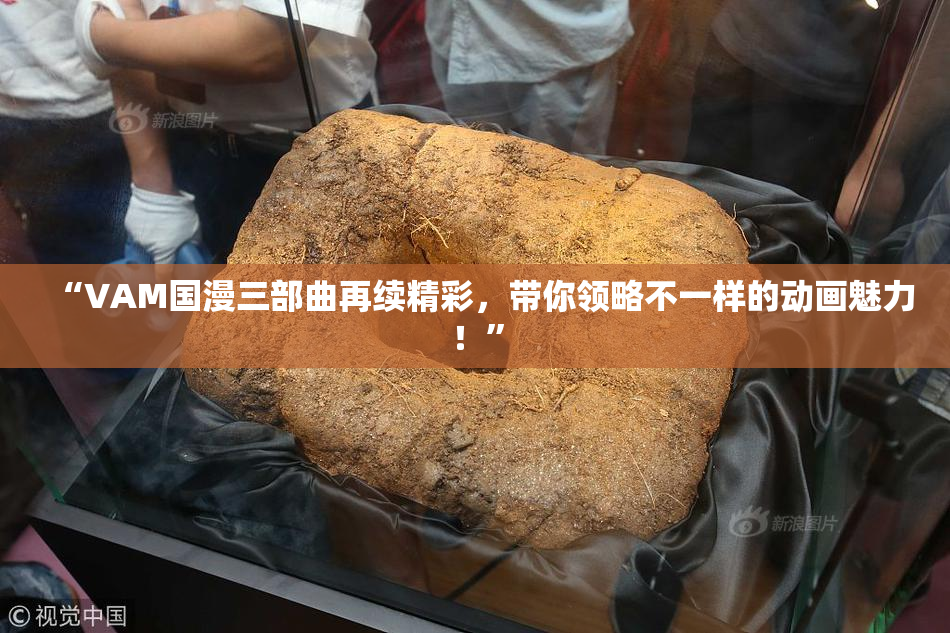 “VAM国漫三部曲再续精彩，带你领略不一样的动画魅力！”