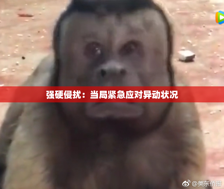 强硬侵扰：当局紧急应对异动状况